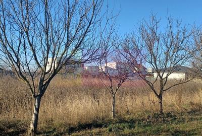 Spațiu comercial, în Săbăreni - 7