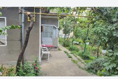 Teren de 343 mp, în Tei - 3