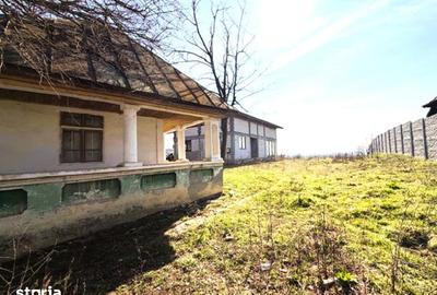 Casă cu 5 camere cu Teren 1490 Mp în Curtișoara - 6