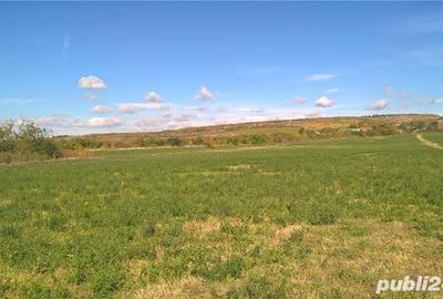 Teren de 39500 mp, în Valea Călugărească - 3