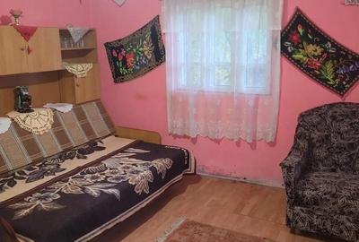 Casă cu 6 camere în Bârseștii de Sus - 9