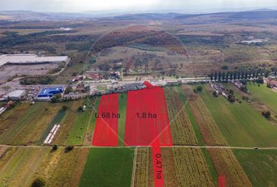 Teren Construcții intravilan de 30016 mp, în Sântuhalm - 1