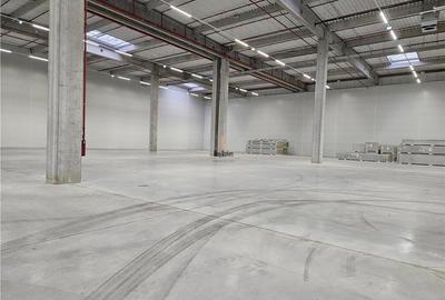 Spatiu Industrial - 3500 mp - Logistica - Productie - Depozitare - Distributie - 2