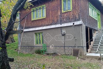 Casă cu 3 camere în Poiana Vadului - 1