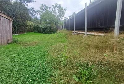 Casa de vanzare in Saliste aproape de Transalpina - 11