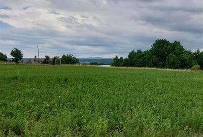 Teren intravilan de vanzare in Tg Trotus - 1