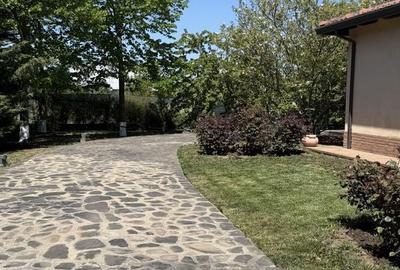 Casă cu 7 camere cu Teren 6700 Mp în Cernica - 5