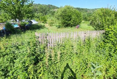 Teren intravilan 4.183 mp Cobia, sat Mislea ie?ire - 8