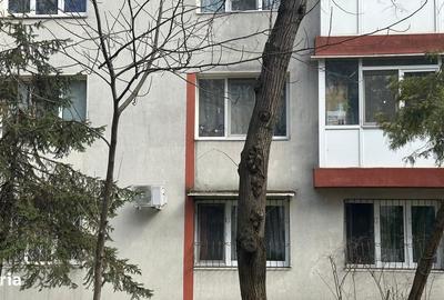 Apartament cu 2 camere semidecomandat în Pajura - 12
