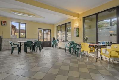 Comision 0% 2 case Vila + Spatiu Comercial + Curte Proprie - 9