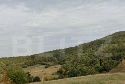 Teren intravilan de vanzare, 15 ari, Zalau - 1