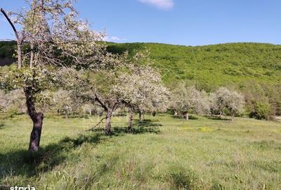 Spațiu comercial, în Budeasa - 12
