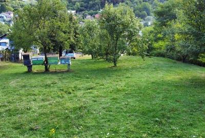 TEREN 1869 MP, CADRU NATURAL SUPERB, TOATE UTILITATILE - 8