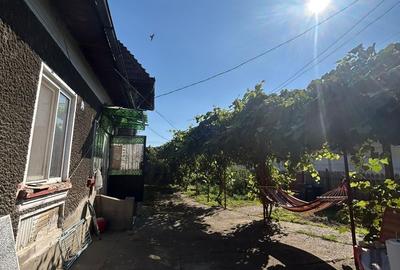 Casă cu 3 camere decomandat în Șotânga - 1