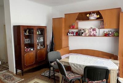 Casă cu 6 camere cu Teren 1043 Mp în Bistra - 9