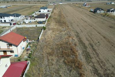 Teren Construcții intravilan de 603 mp, în Dragomirești-Vale - 4