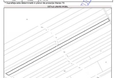 Teren extravilan 5000 mp, Com Ungheni, Jud Arges - 3