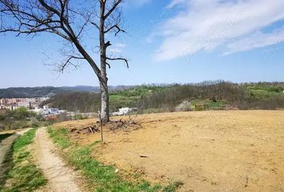 Teren în Calea Caransebeșului - 7