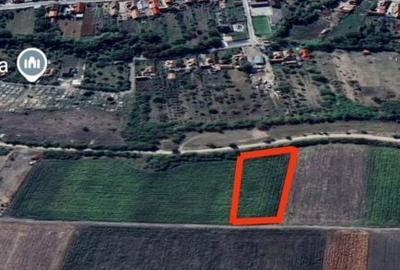 Spațiu comercial, în Sâncraiu - 3