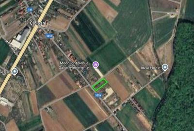 Teren de 500 mp, în Ciolpani - 1