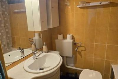 Apartament cu 3 camere decomandat în Valea Ialomiței - 6