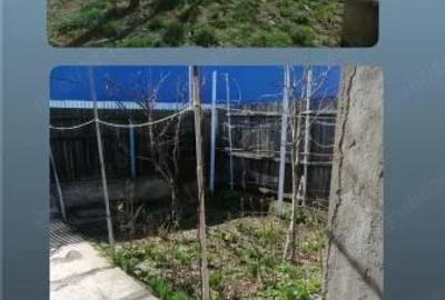 Casă cu 3 camere cu Teren 225 Mp în Berceni - 2