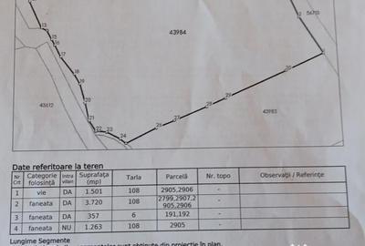 Teren de 6800 mp, în Cărpiniș - 1