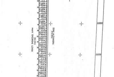 Teren de 530 mp, în Clinceni - 2