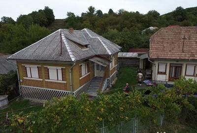 Casă cu 4 camere cu Teren 2000 Mp în Buciumi - 12