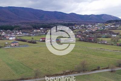 Teren intravilan in Tocile - 4354 m² - 2 fronturi - oferta competitiva - 8