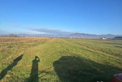 Teren de 1800 mp, în Mocira - 1