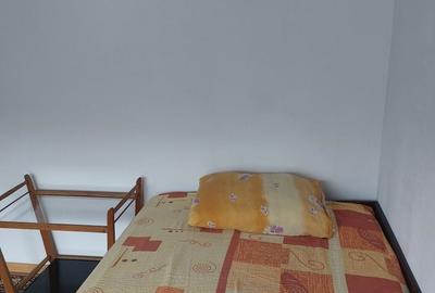 Apartament cu 3 camere decomandat în Lujerului - 2
