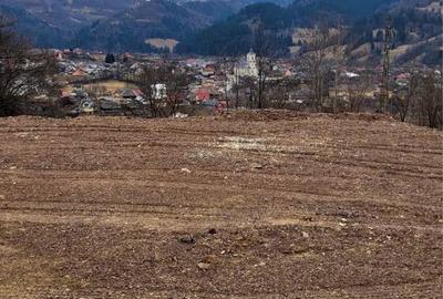 Spațiu comercial, în Bistra - 3