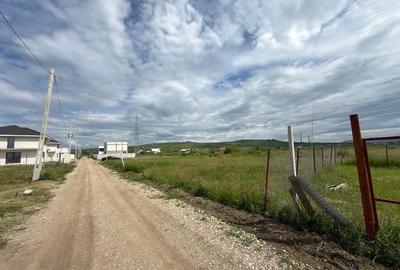 Teren de 485 mp, în Mărăcineanu - 5