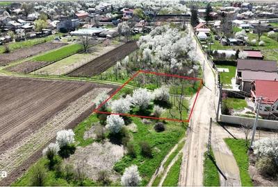 Spațiu comercial, în Tărtășești - 9