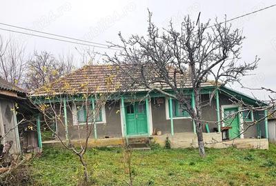 Casă cu 2 camere cu Teren 5000 Mp în Roșu - 3