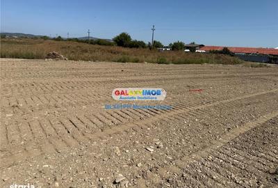 Teren de 2960 mp, în Lipănești - 3