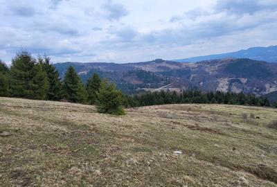 Spațiu comercial, în Lupșa - 1