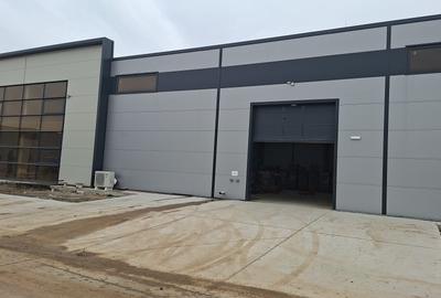 Spațiu industrial, în 1 Decembrie 1918 - 3