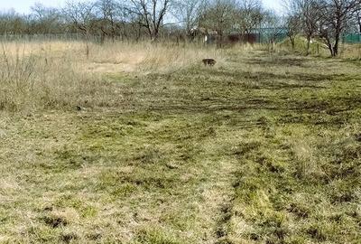 Teren de 1000 mp, în Aroneanu - 1