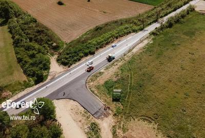 Casă cu Teren 760 Mp în Crevedia - 6