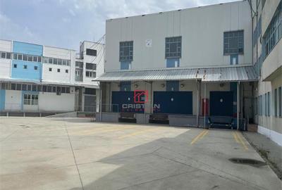 Depozit/hala/spatiu industrial Giurgiului-Progresul - 2