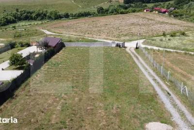 Teren de 1000 mp, în Ciurila - 3