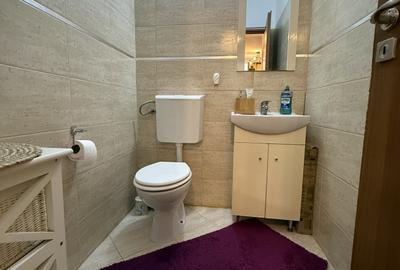 Apartament cu 3 camere decomandat, mobilat în Soarelui - 9