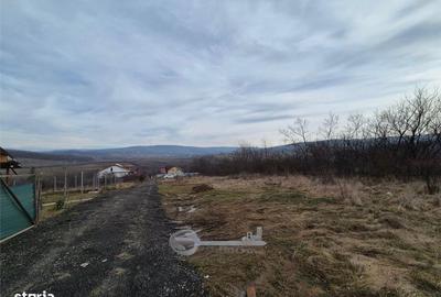 Spațiu comercial, în Ciurea - 1