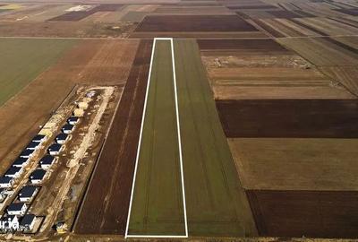 Teren de 38500 mp, în Tărlungeni - 3