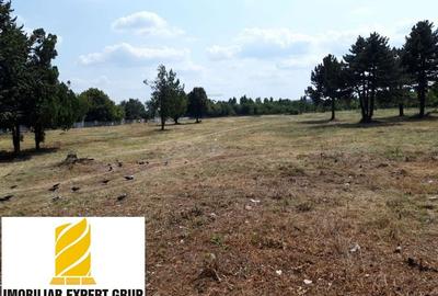 Zona Pantelimon: Teren pentru construit, peste 35.000 mp. - 3