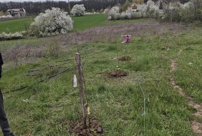 Spațiu comercial, în Tâncăbești - 7