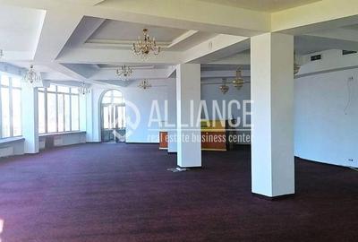 Inchiriere spatiu comercial de 400 mp - 15