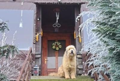 Casă individuală cu 4 camere cu Canalizare în Sibiel - 1